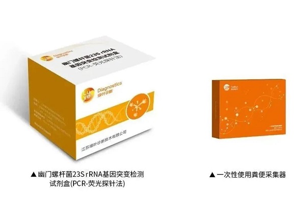 ����Ҷ�������ҽѧ�������ݸ˾���ҩ���һ����ʹ�÷��ɼ���