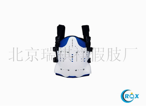 ����������/����֧��