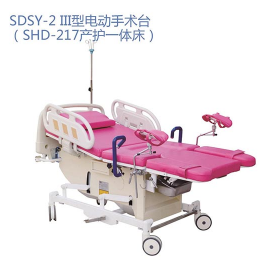 SY-2III�͵綯����̨