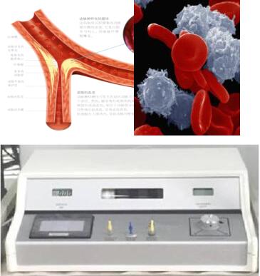 ����Zonma2000���ܻ�����������ϵͳ