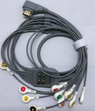 �ĵ絼���ߣ�holter������