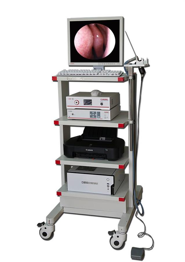 ���Ǻ��ڿ���