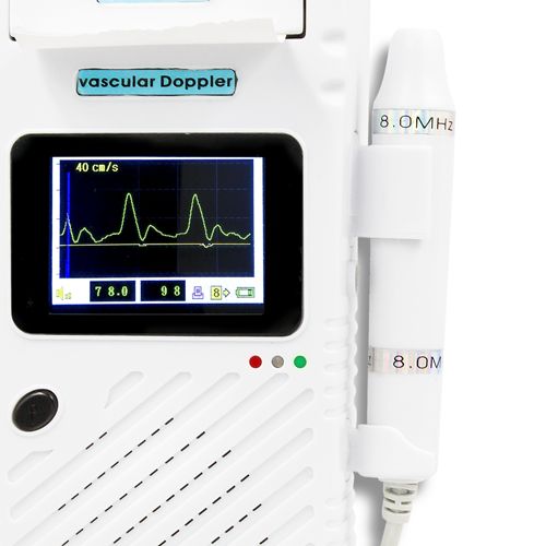 ������Ѫ�������