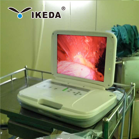 ׵��׾�������ڿ������ڿ��������