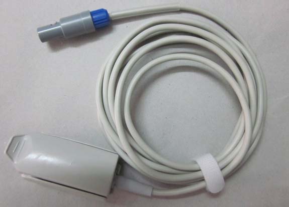 ������Ѫ��̽ͷ