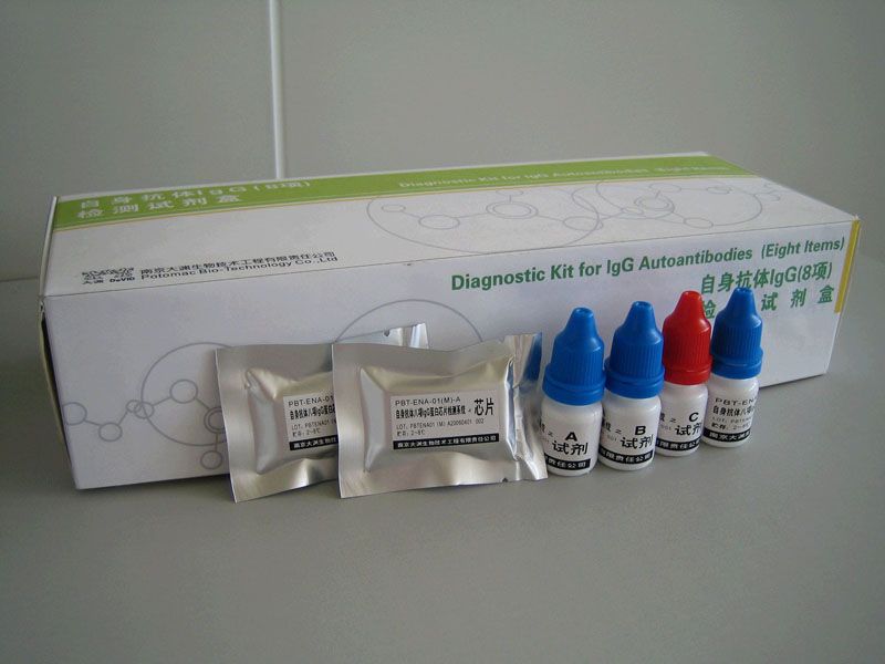 ��������IgG��8�����Լ��У�����оƬ��