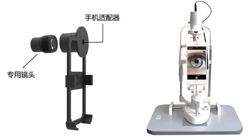 ̩�����������֣��ۿƣ�