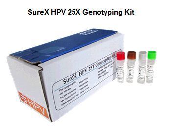 SureX ����ͷ��������HPV�����ͼ���Լ���