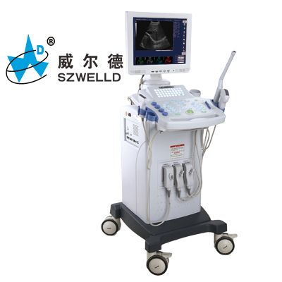 ���Ƴ�ʽb��