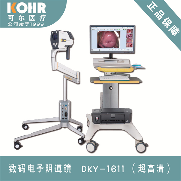 �������������/����������/����������