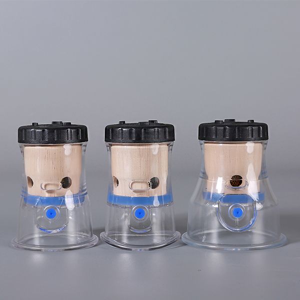 ��ɭ���Ĺ�