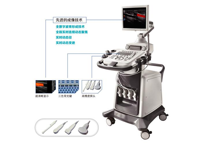 ȫ���ֲ�ɫ�����ճ�������� ��2��̽ͷ��