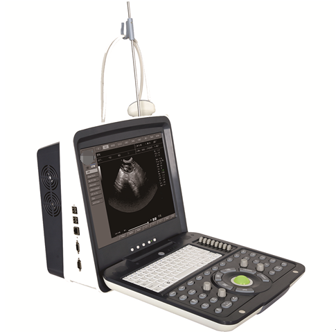 CLS-6100V���ò�ɫ�����ճ������ϵͳ