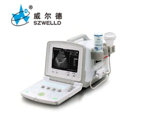 ȫ���ֻ���Яʽb��