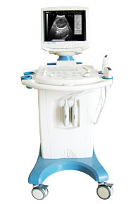 CHISON 600A PRO�����Ƴ�ʽB��