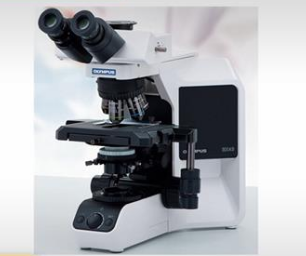 ���ְ�˹������΢�� BX43��΢�� ������΢�� �о�����΢��