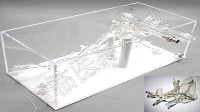 ����ģ��