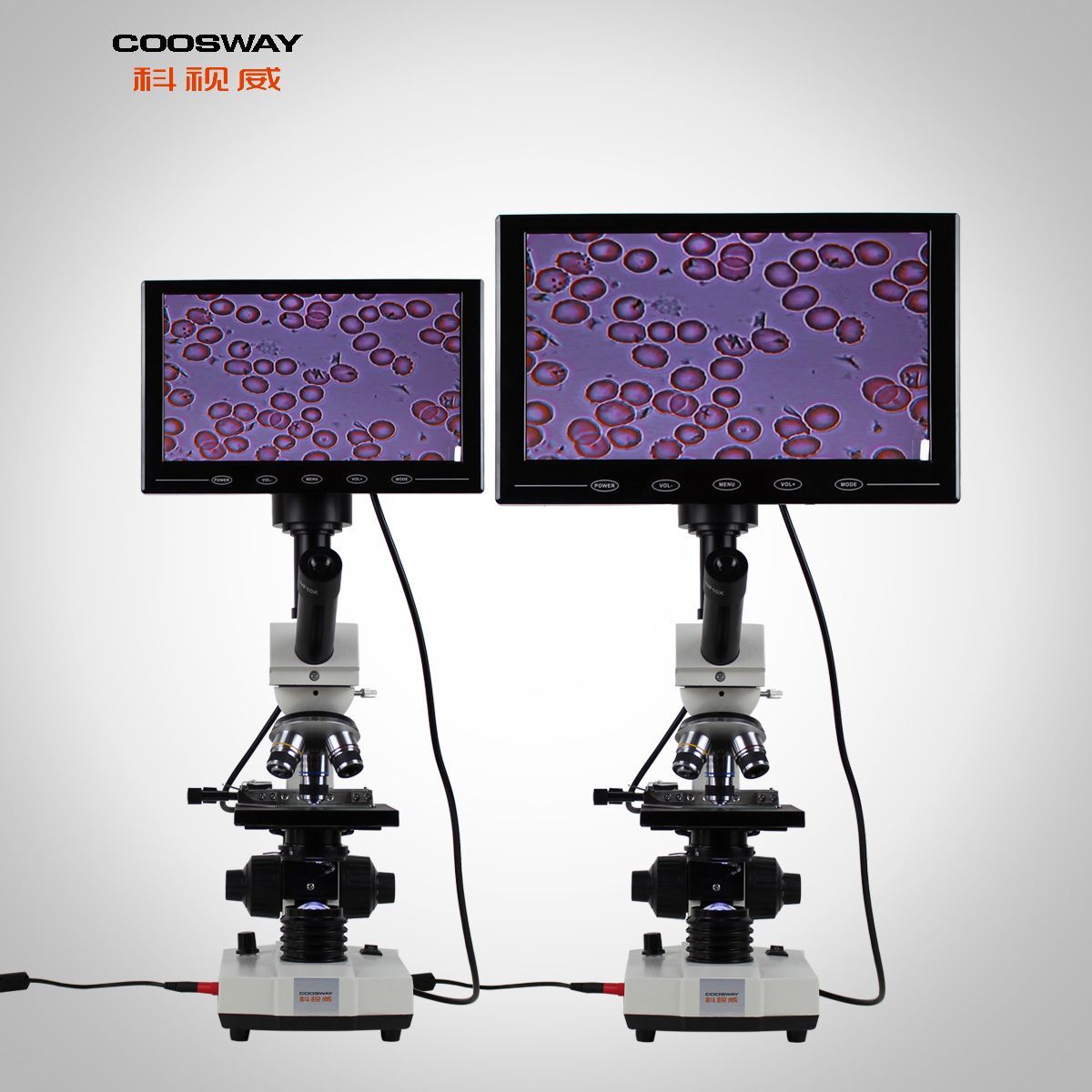 ����һ��Ѫ�����