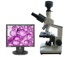 ����������΢��