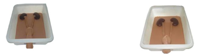 �����ھ�����ѵ��ģ��