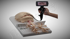 ֧����ģ��/֧���ܾ���ѵ/ѵ��ģ��