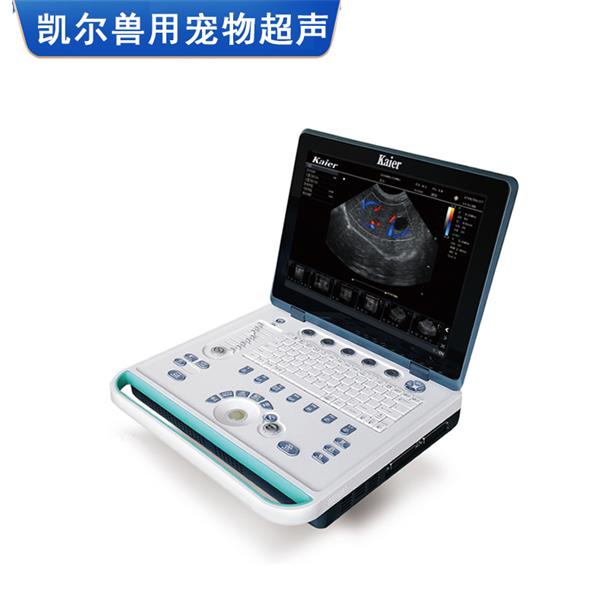 ������Яʽ����ʳ��� ����b���� ���Ҽ۸���� ����ҽԺ�òʳ���