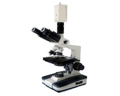 һ��Ѫϸ��������