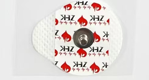 һ����ʹ���ĵ�缫