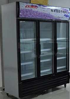 �걾���´�Ź�