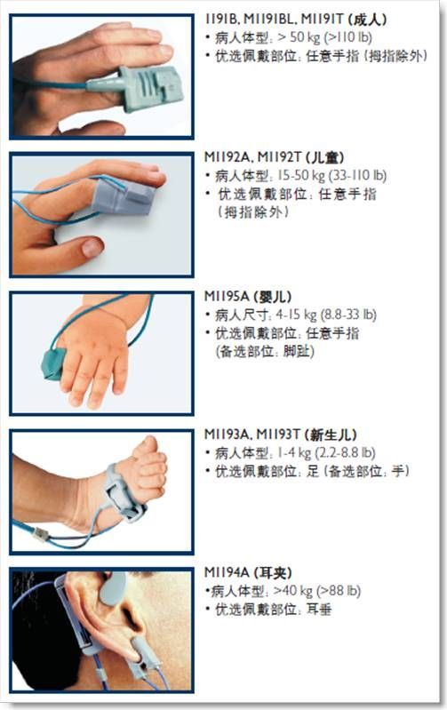 ������Ѫ��̽ͷ