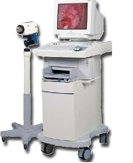 �������������