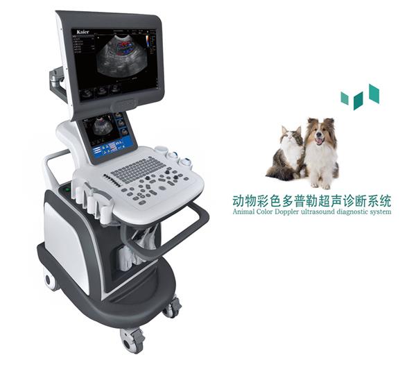 ����B��������ʳ��������Żݴ���С����b��ȫ����˫��èȮ������