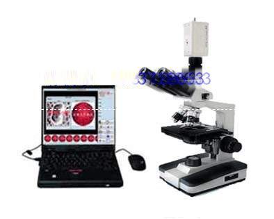 һ��Ѫ�����