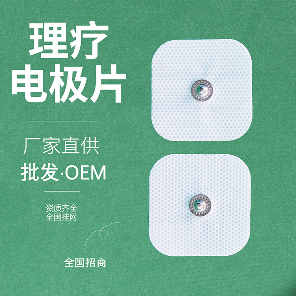 һ�������Ƶ缫Ƭ
