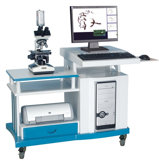 ��������������-��Һ������