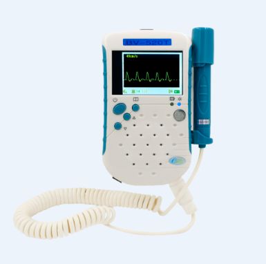 ˫��Ѫ�������