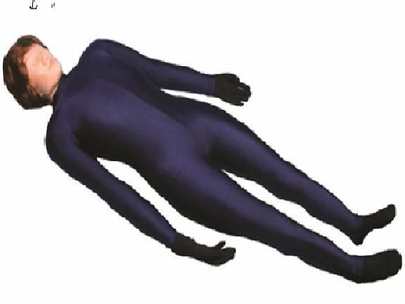 X�߷����˽�ѧģ��