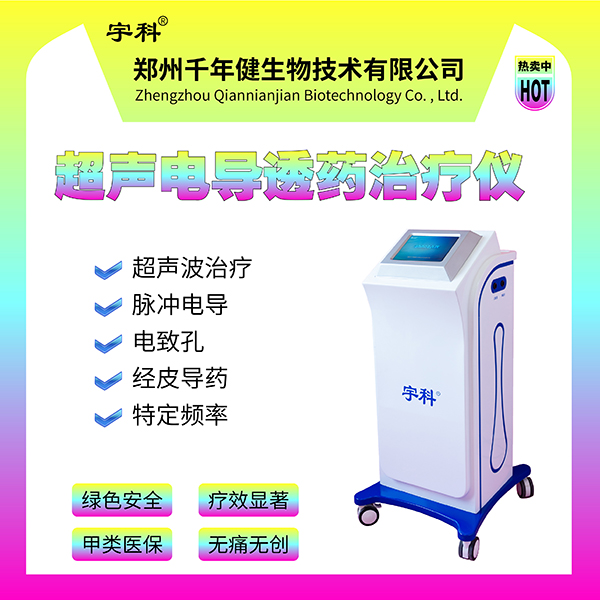 �¿����г����絼����͸ҩ��������ʽ��