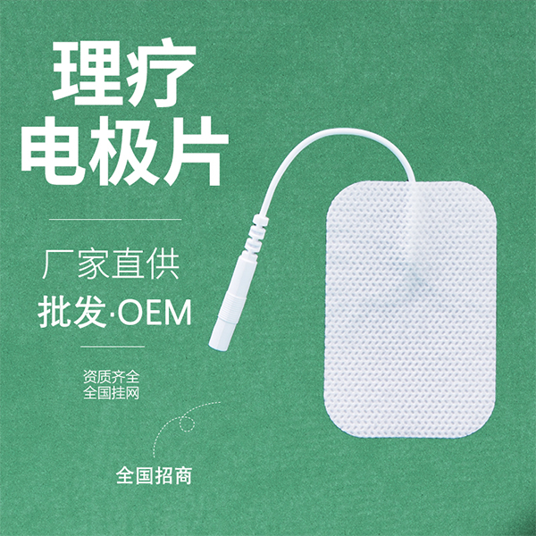 һ�������Ƶ缫Ƭ