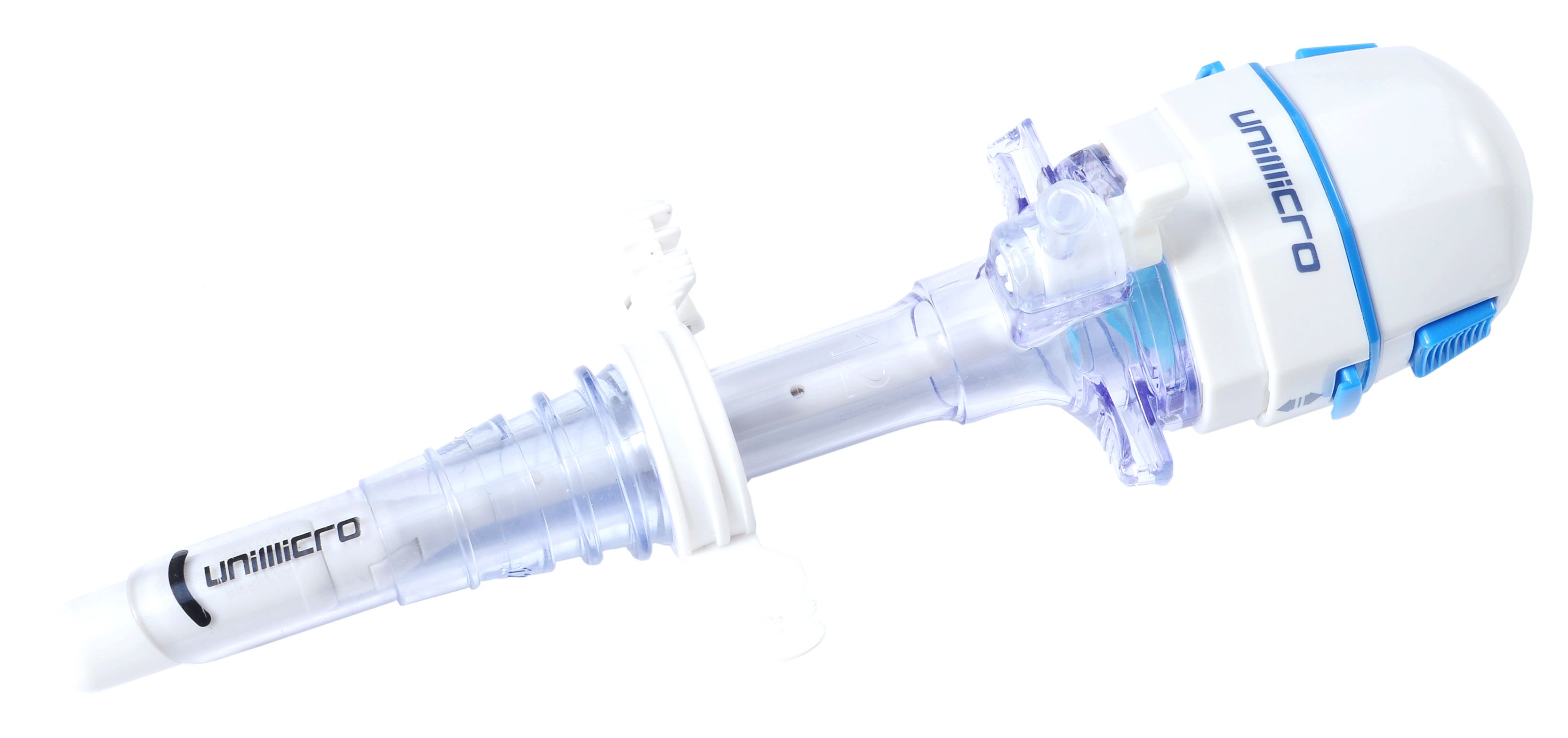 ��ɭ������