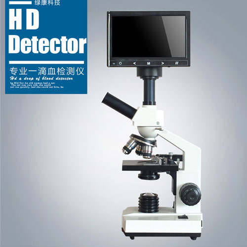 Ѫϸ��������