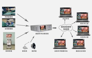 ����ת������