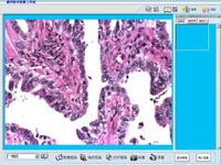 ����ͼ�ķ���ϵͳ