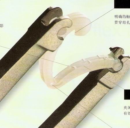 ���˽�������ʷ��˹���л�