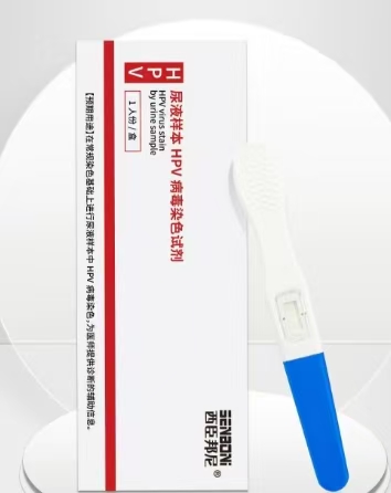 ��Һ����HPV����Ⱦɫ�Լ�