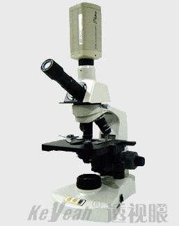 ���߱���Ƶ��΢��