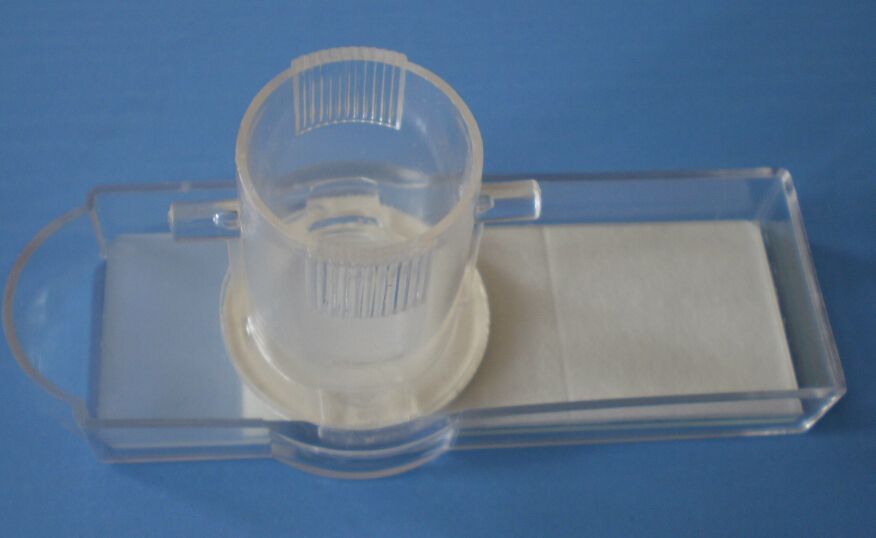 һ����������Ƭ��