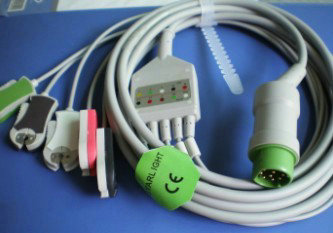 6��HOLTER����������