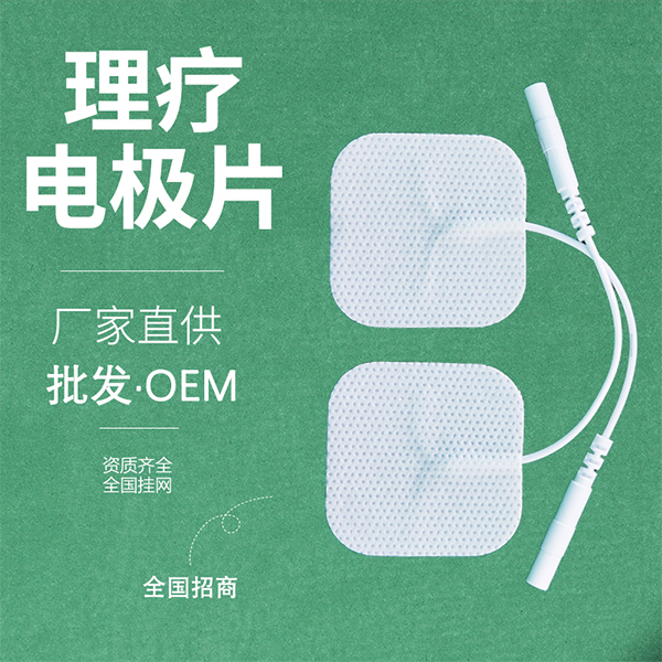 һ�������Ƶ缫Ƭ