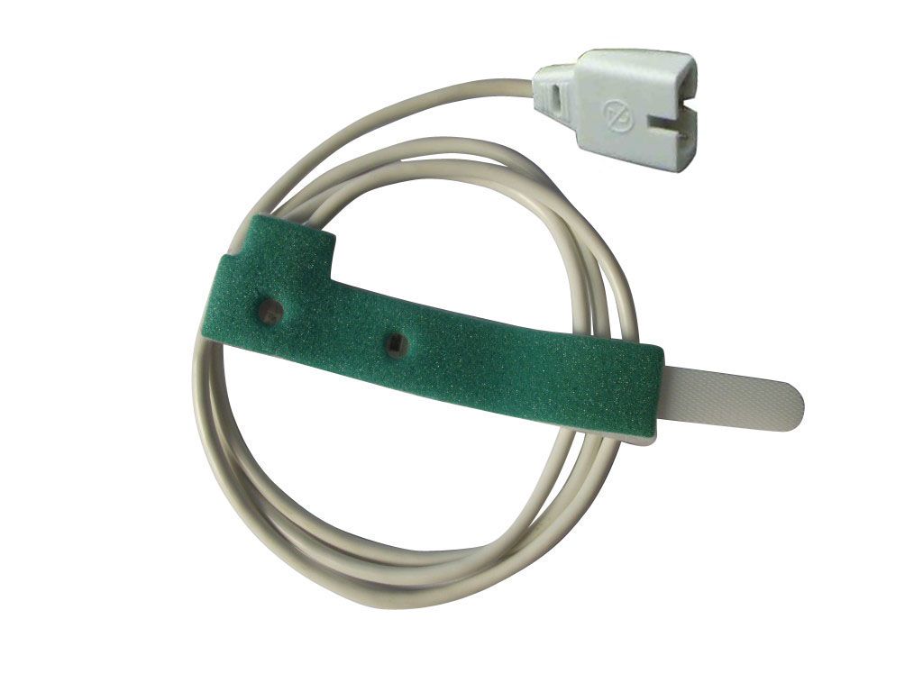 һ����������Ѫ��̽ͷ